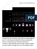 Female Reproductive Cycle PDF