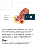 Red Blood Cells (RBC).pdf