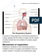 Respiration.pdf