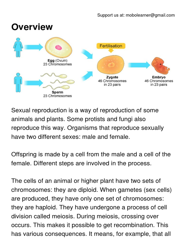 Sexual Reproduction | PDF | Fertilisation | Ploidy
