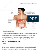 The Digestive System.pdf