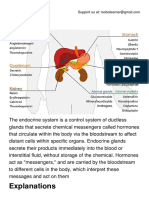 The Endocrine System.pdf