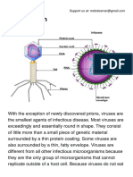 Virus.pdf