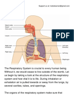 The Respiratory System.pdf