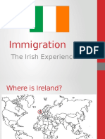 Irish Experience