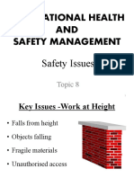 Lecture 8-Safety Issues