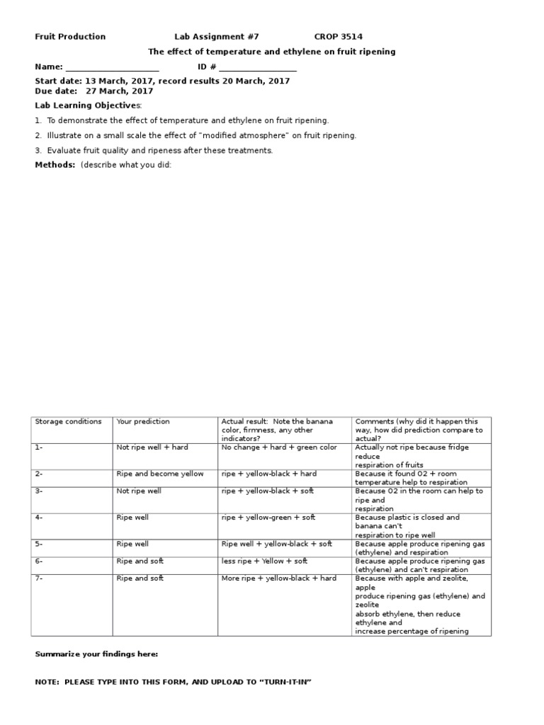 Banana Ripening Lab PDF Banana Edible Plants