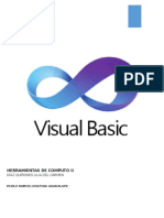 Visual Basic