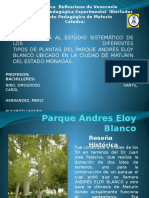 Plantas en Parque Andres Eloy Blanco