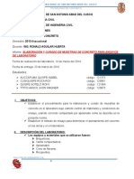 Informe Elab Briquetas