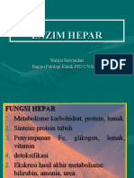 Enzim HEPAR