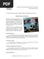 Guias Para Las Planificaciones ( ESTRATEGIAS)