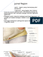 Anatomi Inguinal Region