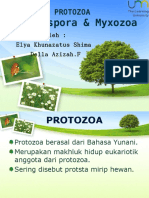 presentasi-euy