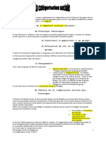 Catégorisation Sociale.pdf