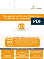 262163030-Libro-Riesgos-Cri-ticos-validado-DMH-pdf.pdf