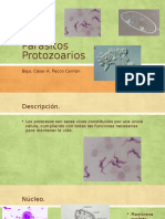 Parásitos Protozoarios