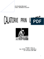 calatorie_prin_unives.doc