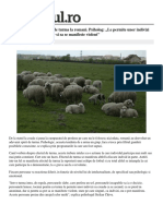 Stelian Chivu - Cum Functioneaza Efectul de Turma La Romani PDF