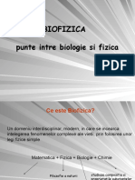 BioFizica