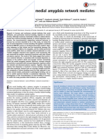Dopamina e a amigdala.pdf