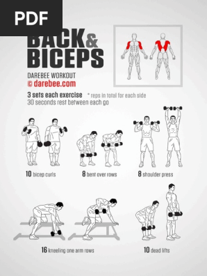 Back and Biceps Workout PDF PDF