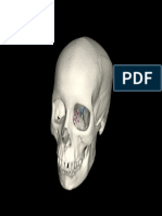 Human 3D-PDF Medium PDF