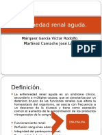 Enfermedad Renal Aguda Expo