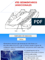 Ambientes Sedimentarios Transicionales PDF