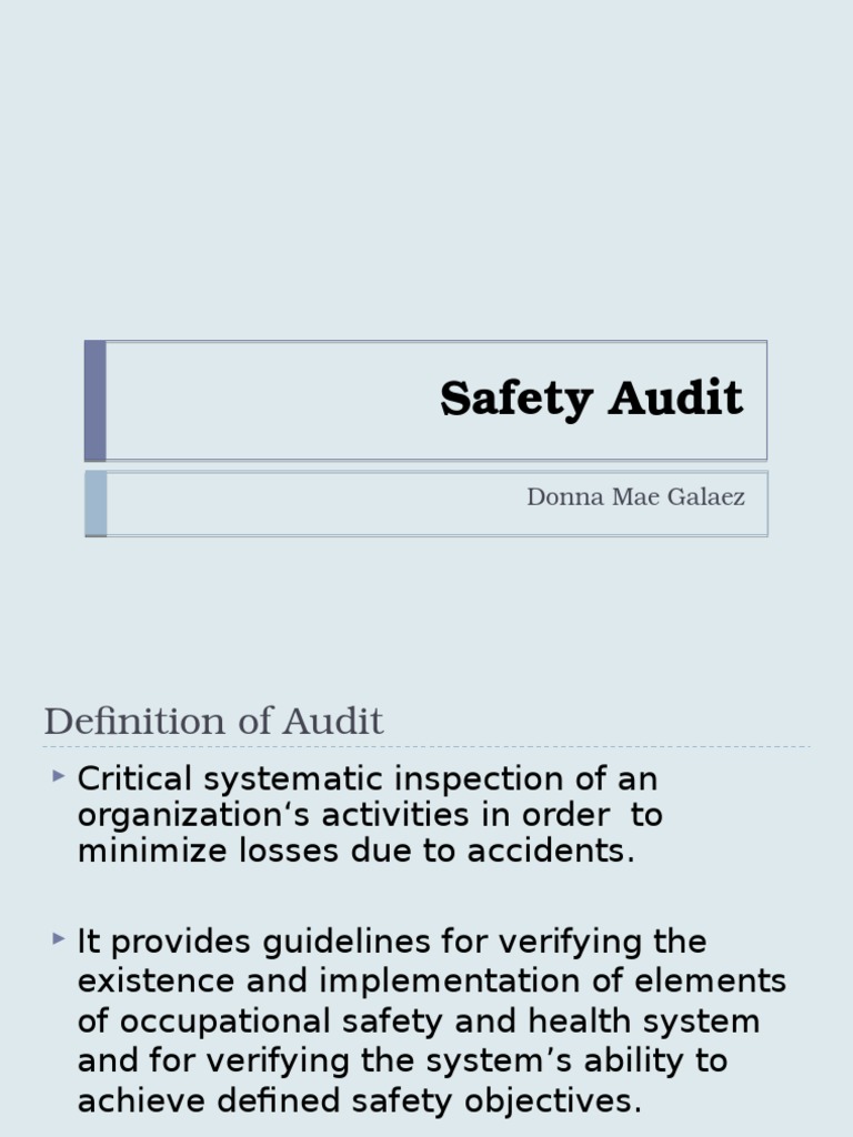 Safety Audit PDF Auditor's Report Audit