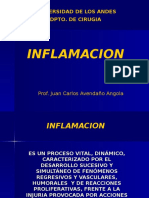 Inflamacion