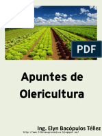 Olericultura PDF