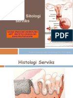 Anatomi Serviks Dan Sitologi 13102014