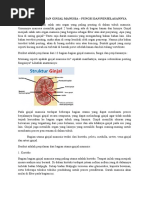 Cerita Rakyat Tangkuban Perahu Bahasa Jawa