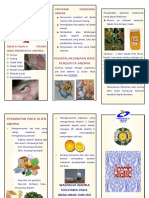 Leaflet Anemia