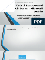 Cadrul European al Calificărilor și indicatorii Dublin.odp