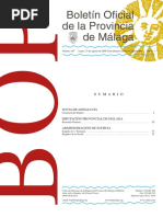 Convenio Mas Cerca s a m 2008