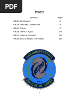 Abre-Alas 2011 Domingo