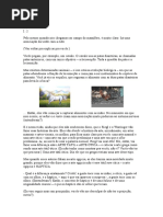 A Potência Não Orgânica Da Vida