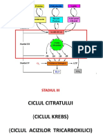 CK - LR-microzomal Glucide-1-2016 PDF