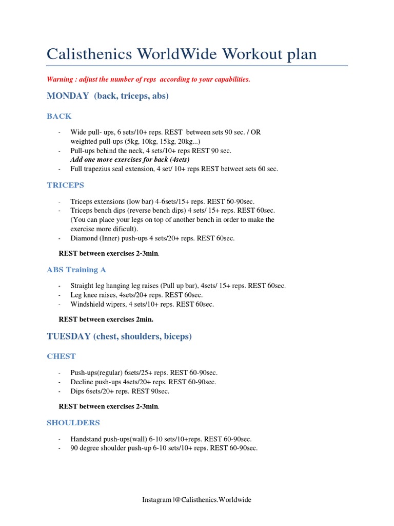 calisthenics-worldwide-workout-plan-pdf-pdf-physical-exercise-management-of-obesity