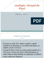 Situl Arheologic PDF