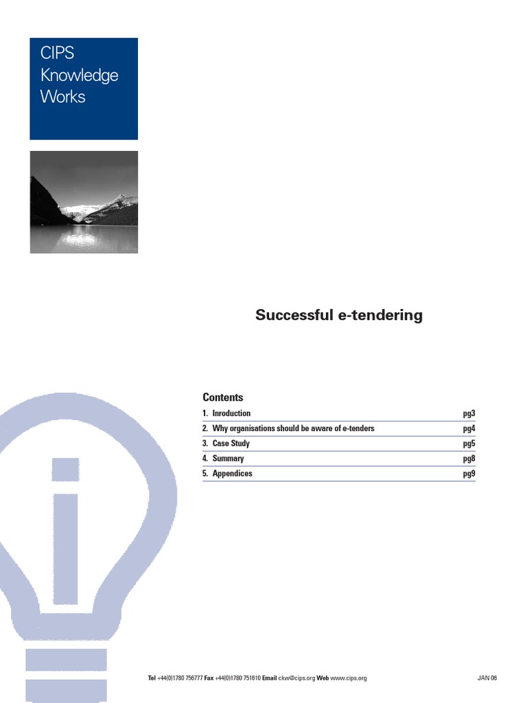 Successful e Tendering | PDF | World Wide Web | Internet & Web