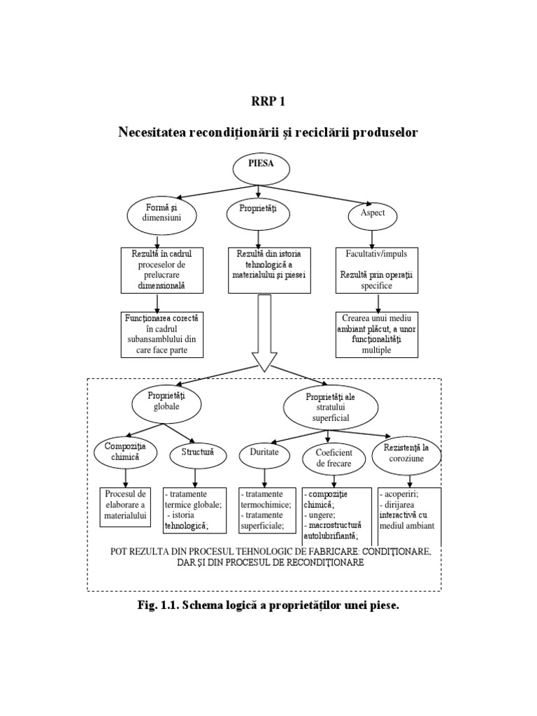 RRP 1 | PDF