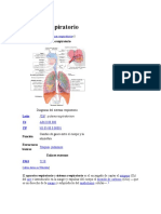 aparato respiratorio