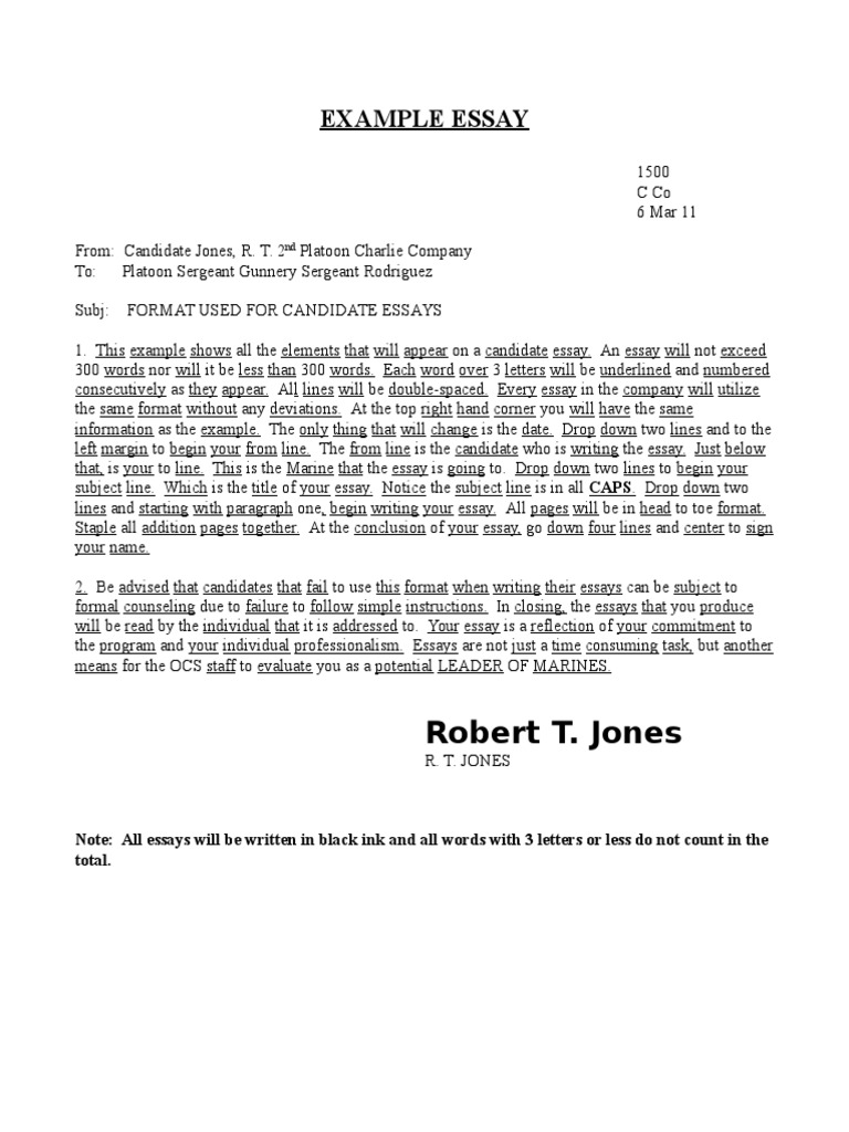 OCS Essay Format Guidelines | PDF