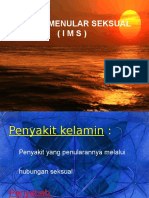 Ims (Repro, Pskm)