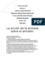 UNAM CCH.docx