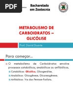MET3 - GLICÓLISE