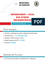 Met4 - Ciclo de Krebs